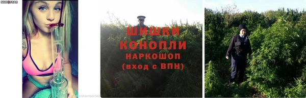 ALPHA-PVP Надым