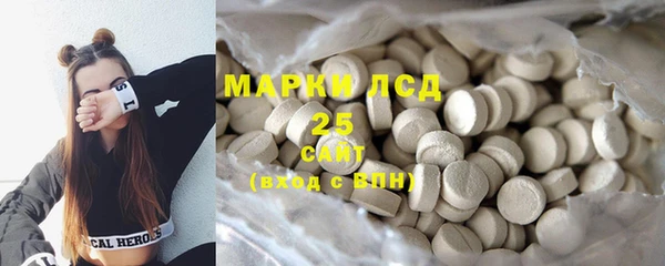 гашик Туринск