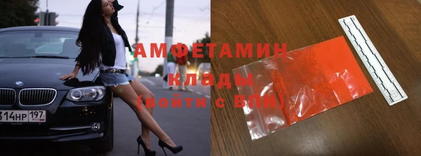гашик Туринск