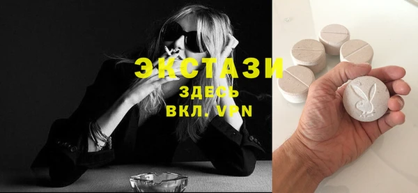гашик Туринск