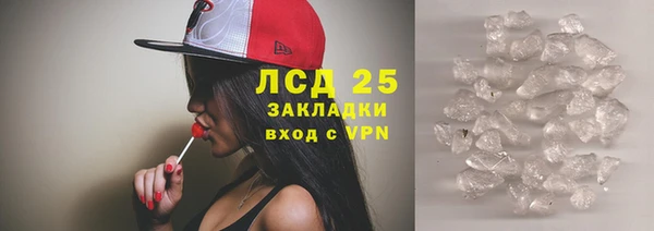 гашик Туринск