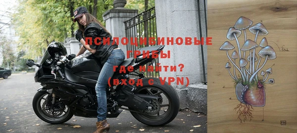 молекула духа Тихорецк