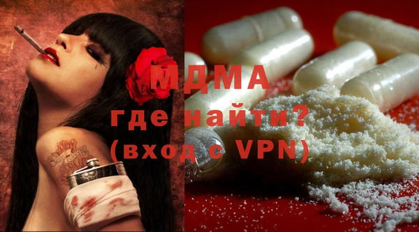 гашик Туринск