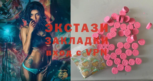гашик Туринск