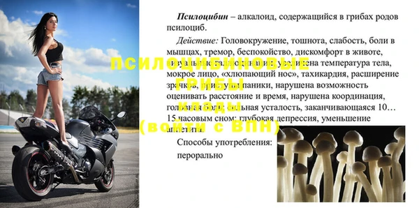 молекула духа Тихорецк