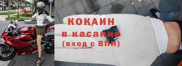 гашик Туринск