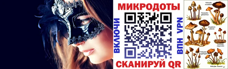 где купить наркоту Димитровград Галлюциногенные грибы мицелий