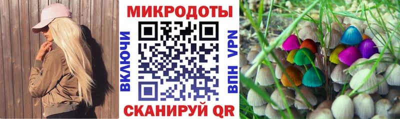 Псилоцибиновые грибы Cubensis Димитровград