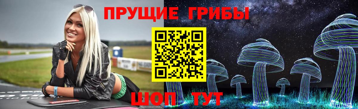 наркотики  Вход с VPN  Галлюциногенные грибы GOLDEN TEACHER  Димитровград  Псилоцибиновые грибы прущие грибы 